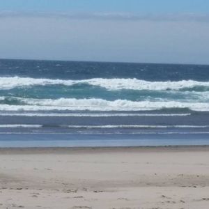 Meet your Posher, Jane